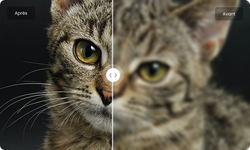 HitPaw FotorPea : La meilleure solution pour améliorer vos images en 2025 ?