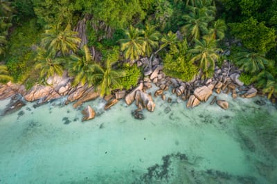 La meilleure île des Seychelles pour les plages, le luxe et l'aventure