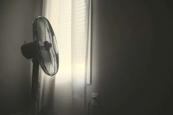 Comment rester au frais pendant une canicule ?