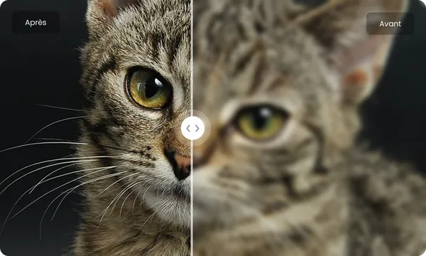 HitPaw FotorPea : La meilleure solution pour améliorer vos images en 2025 ?