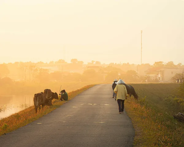 Comment préparer un voyage à l'étranger : Le guide complet avec le Vietnam comme exemple
